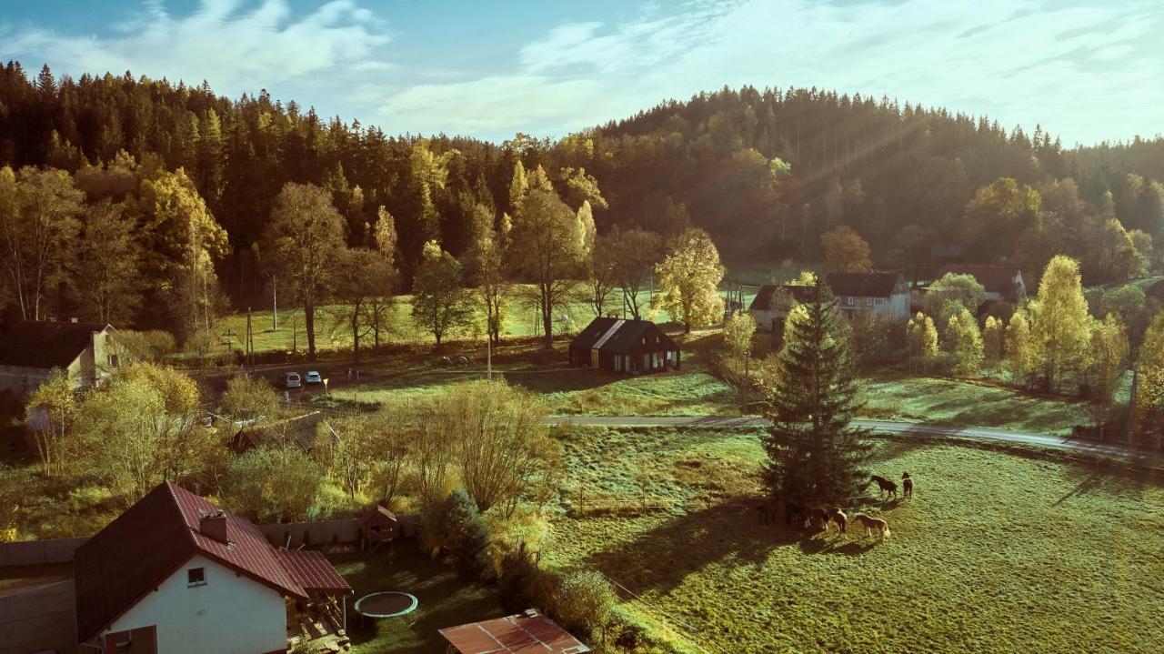 Apartmán Baza Udana Janowice Wielkie Exteriér fotografie